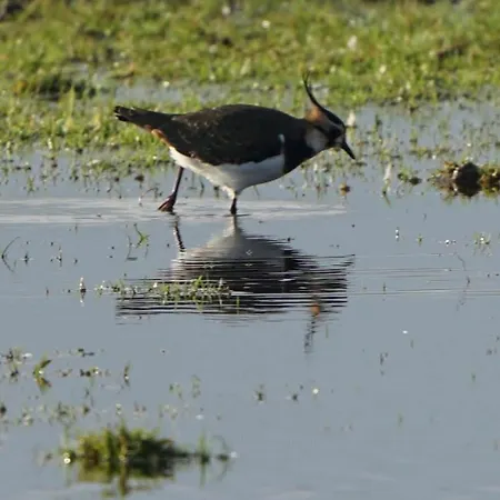 Orbakke - Soborg So *