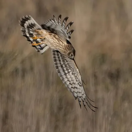 Orbakke - Soborg So Semesterbostad *