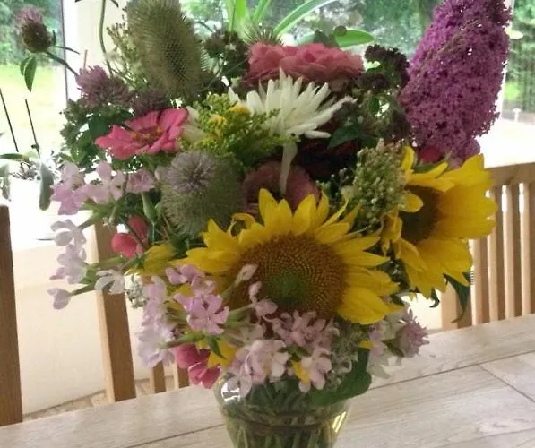 Orbakke - Soborg So Semesterbostad