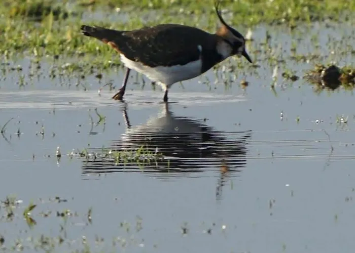 Orbakke - Soborg So *