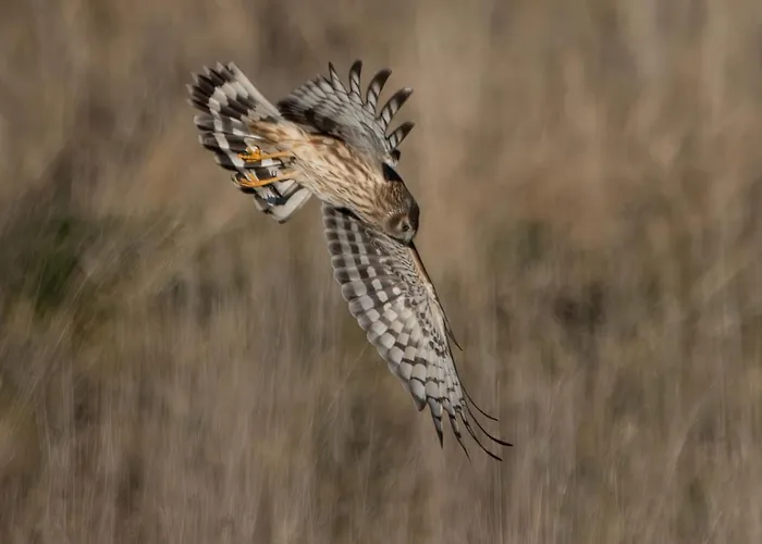 Orbakke - Soborg So Semesterbostad *